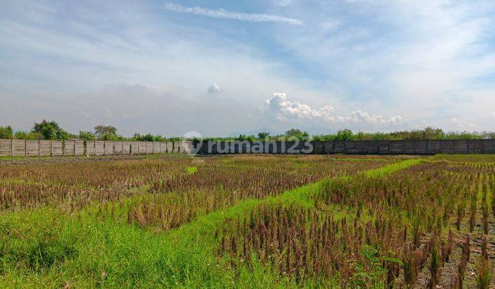 Murah Tanah Kavling Untuk Pabrik Gudang Gedebage Sapan Tol Tegalluar 2