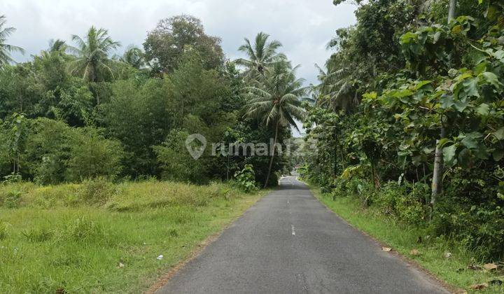 Dijual Tanah Wates, Kawasan Gerbang Toll Jogja yia 3