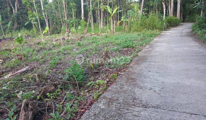 Dekat Gerbang Tol Jogja Yia di Banguncipto Tanah Dijual 5