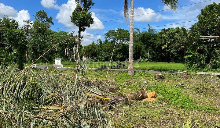 Tanah Kavling Utara Uii Jogja, Spot Nyaman Hunian 2