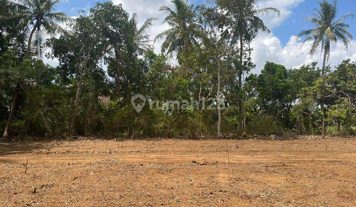 View Sawah 100 Jt An Tanah Dijual Sleman, Barat Pasar Godean 2