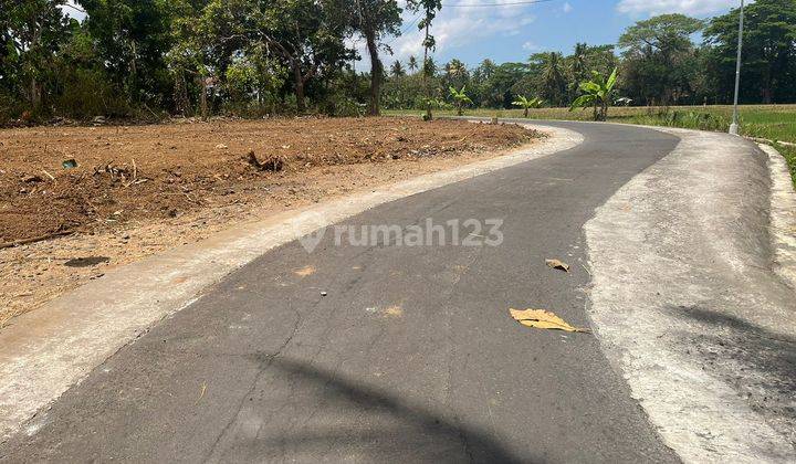 View Sawah 100 Jt An Tanah Dijual Sleman, Barat Pasar Godean 2