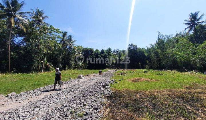 Hunian Scandinavian Elegan di Lokasi Strategis, Dekat Bandara YIA 2