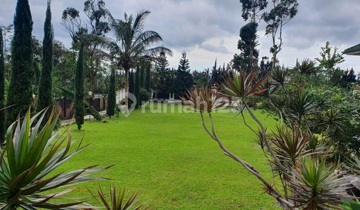 colibah villa land area 2900m, condition still good and neat. 2