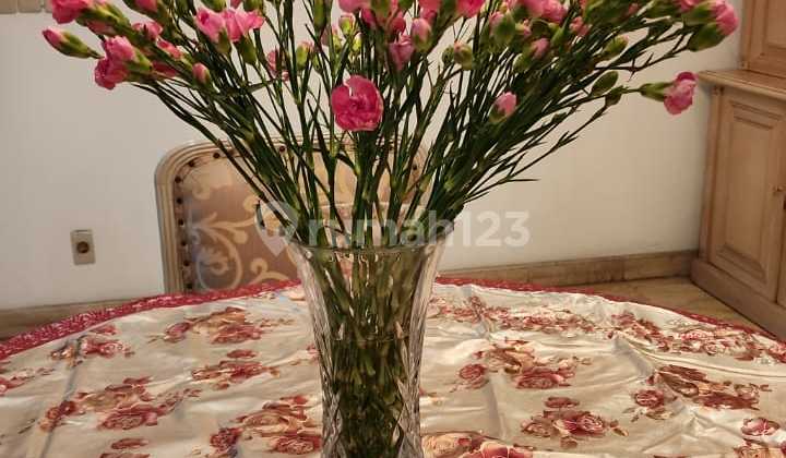 rumah mewah area pluit luas bangunan 1000m hadap utara bagus dan cantik 2