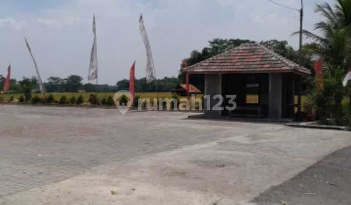 Tanah Sawah Komersil Dan Masih Produktif Pinggir Jalan di Jl. Raya Campaka, Cilandak, Kec. Cibatu, Kabupaten Purwakarta, Jawa Barat, Cibatu SHM 5035.0 m² 2