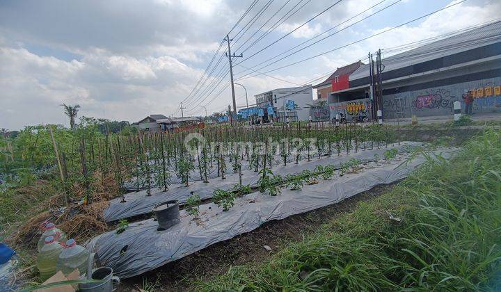 Tanah Sawah Dijln.utama Besi Jangkang Jakal Km 13,Dekat Uii 2