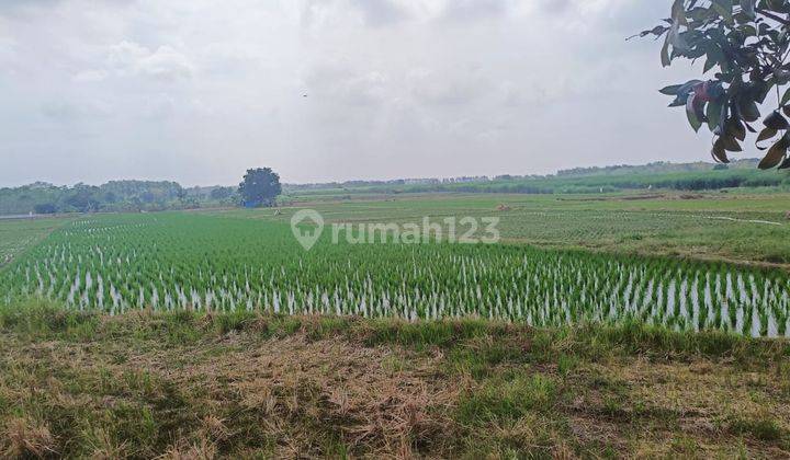 Tanah Siap Bangun Luas 100 Ha Cikamurang Cibuluh Sumedang 1