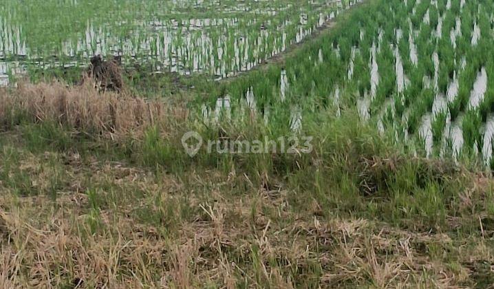 Tanah Siap Bangun Luas 140 Ha Cikamurang Cibuluh Sumedang 1