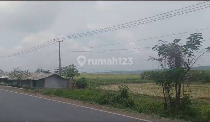 Tanah Siap Bangun Luas 150 Ha Cikamurang Cibuluh Sumedang 2