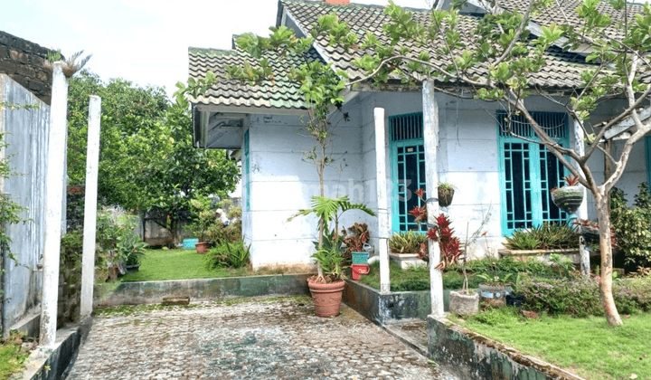 Villa Palm Garden Luas 527m Type 4KT Cipanas Cianjur  2