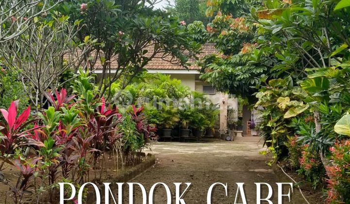Kavling/Tanah Bentuk Ngantong, Bonus Bangunan Rumah di Pondok Cabe Tangerang Selatan Kavling/Tanah Bentuk Ngantong, Bonus Bangunan Rumah di Pondok Cabe Tangerang Selatan