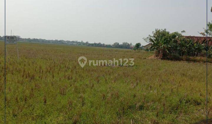 Dijual !!

tanah Sangat Murah Lokasi Strategis
di Pakuhaji - Tangerang 2