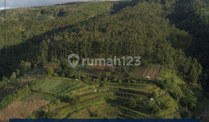 Tanah/Kavling/Lahan Premium 10 Hektar di Lembang - Bandung, Cocok untuk Resort/Hotel/Villa Dll Tanah/Kavling/Lahan Premium 10 Hektar di Lembang - Bandung, Cocok untuk Resort/Hotel/Villa Dll