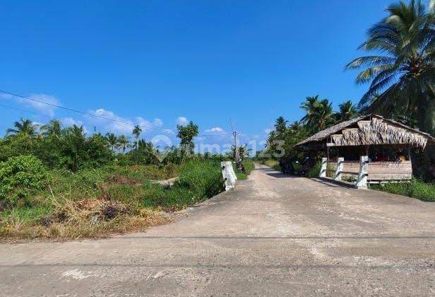 Di Jual Cepat Tanah Padat Sudah Shm Di Kalimantan Barat 1