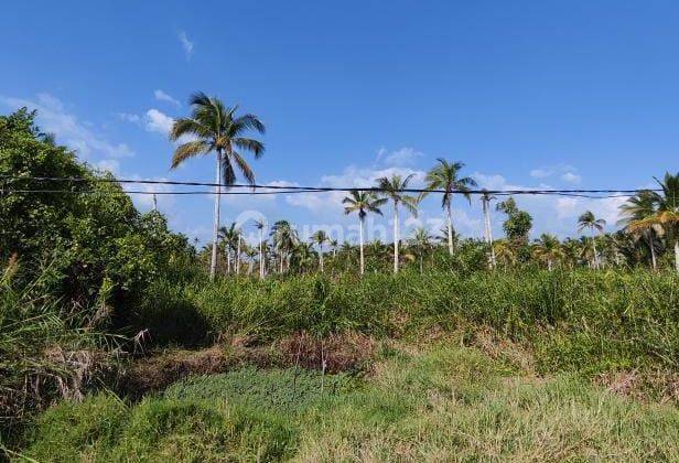 Di Jual Cepat Tanah Padat Sudah Shm Di Kalimantan Barat 2