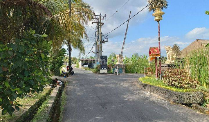 Commercial Land With Rice Field View In Andong Ubud Gianyar 2