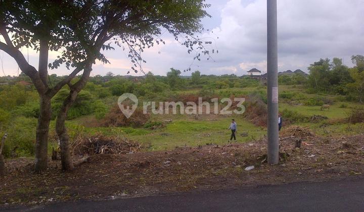 Land for Sale in Ungasan Bali, Cliff Green Bowl Beach Pandawa Kutuh