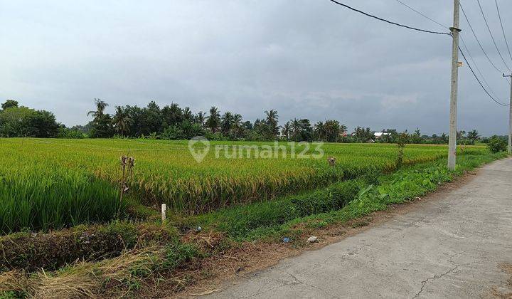 Tanah investasi di area tabanan pantai kedungu kediri 1