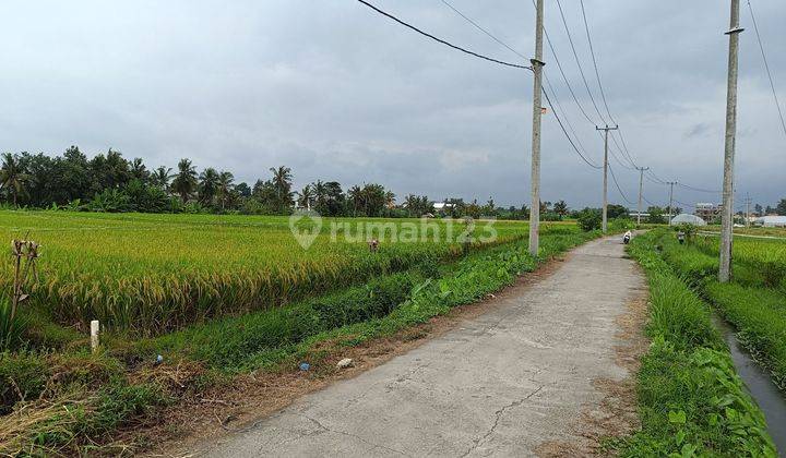 Tanah investasi di area tabanan pantai kedungu kediri 2