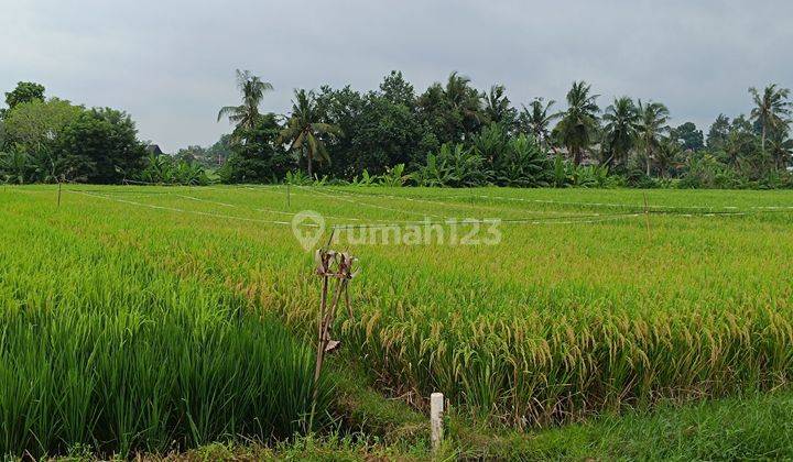 Tanah investasi area wisata di pantai kedungu tabanan bali 2