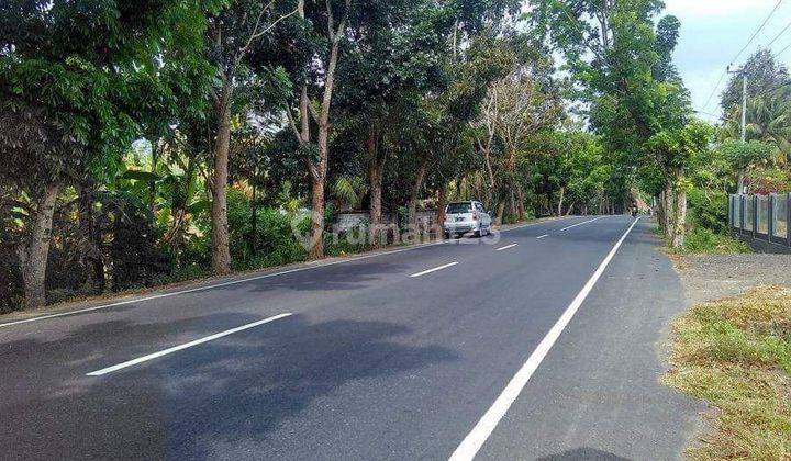 Roadside land denpasar gilimanuk jembrana bali country 1