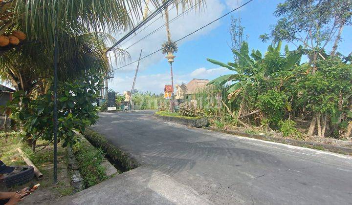 Commercial Land With Rice Field View In Andong Ubud Gianyar 1