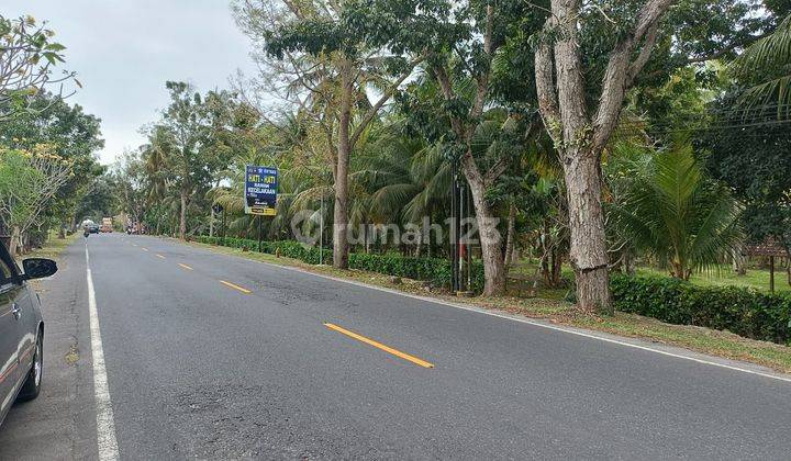 Cheap land on the edge of Denpasar Road Gilimanuk Pekutan Jembrana 1