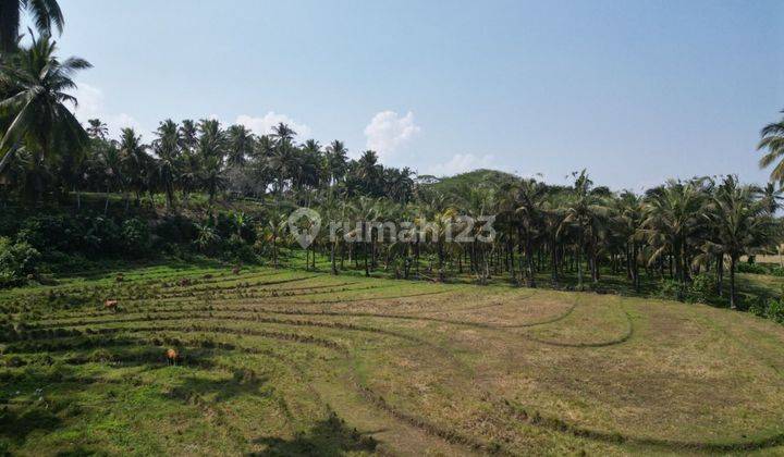 Tanah Dekat Pantai Di Lalanglinggah Selemadeg Tabanan Bali 2