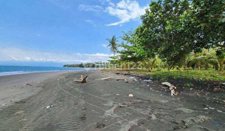 Land Loss Melaya Beach Jembrana Country Denpasar Gilimanuk 1