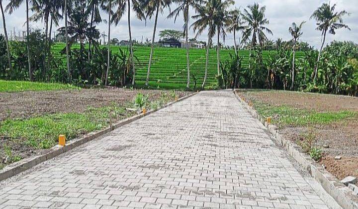 Land with Rice Field View in Tabanan Area, Yeh Gangga, Near Canggu 2