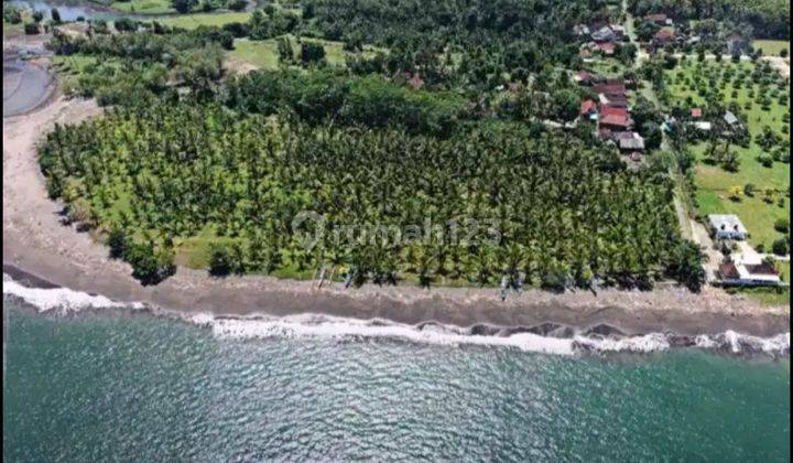 Land Loss Melaya Beach Jembrana Country Bali Investment 1