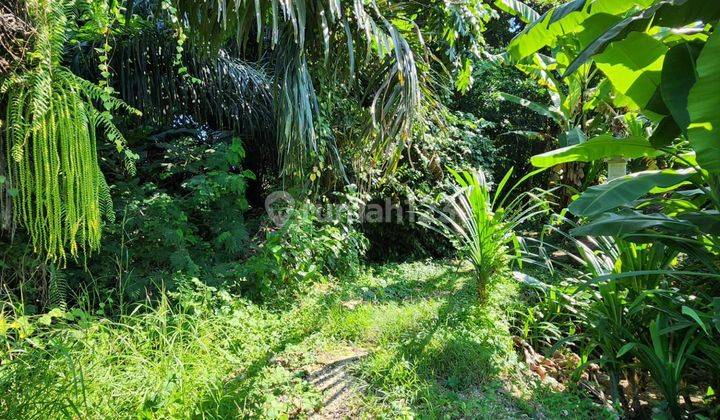 Tanah Komersil Di Area Canggu Tumbak Bayuh Pererenan 2