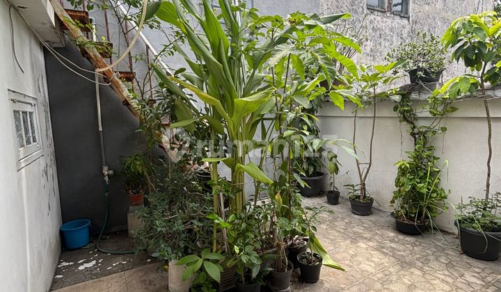 Langka Rumah Pusat Kota Surabaya di Bawah 1 M Luas 144M² 2