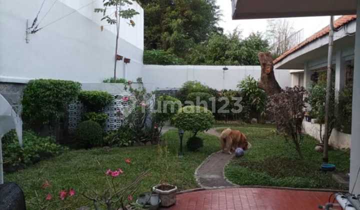 Kapuas Rumah Bisa Buat Usaha Di Kawasan Cafe Anak Muda Selangkah Dari Raya Darmo 2