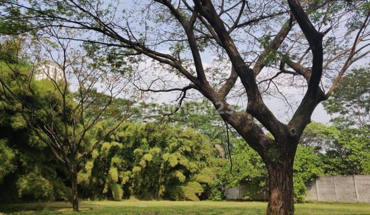 Kavling Sudut Megah Hadap Utara Di Lavender Alam Sutera 1