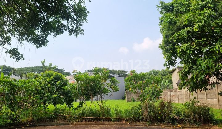 BISA KPT / CASH BERTAHAP 36X KAVLING HADAP BARAT DAYA DI CLUSTER LAVENDER ALAM SUTERA BISA KPT / CASH BERTAHAP 36X KAVLING HADAP BARAT DAYA DI CLUSTER LAVENDER ALAM SUTERA