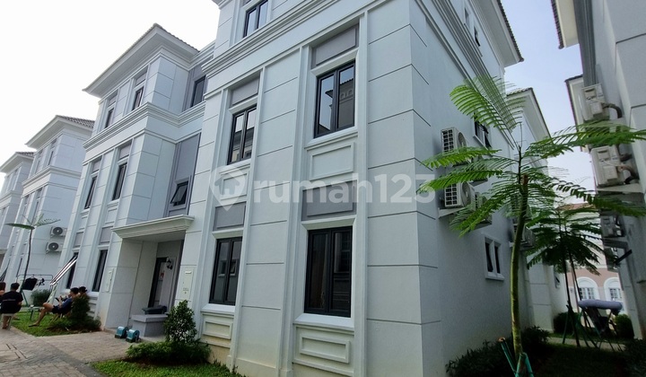 Siap Sewa Kos Fasilitas Resort New Alesha Bsd By Sinarmas Land Siap Sewa Kos Fasilitas Resort New Alesha Bsd By Sinarmas Land