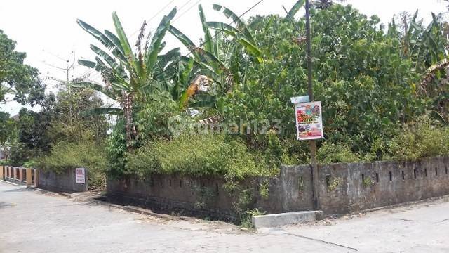 Dijual Murah Tanah Luas 800 Jalan Duwet Sendangadi Sleman Yogyakarta 2