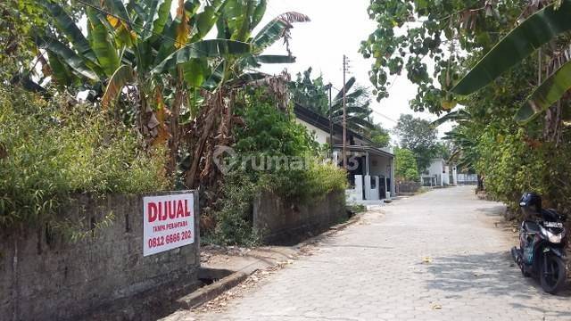 Dijual Murah Tanah Luas 800 Jalan Duwet Sendangadi Sleman Yogyakarta 1