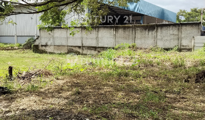 Selling Cheap Lots Suitable for Workshop Warehouses in Tigaraksa Rga