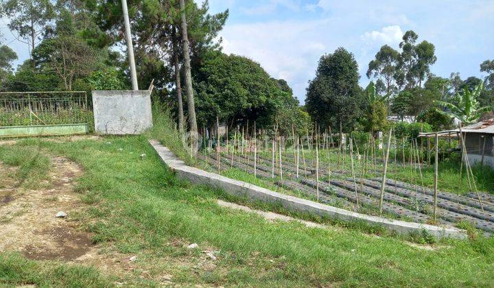 Tanah di Jl. Manoko, Bandung Barat 454 m² 14