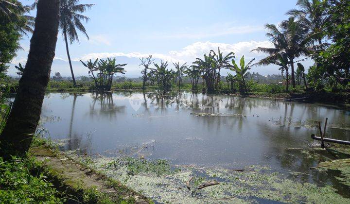 Tanah Dan Juga Kolam Ikan di Jl. Tarogong , Garut 4.795 m² 1