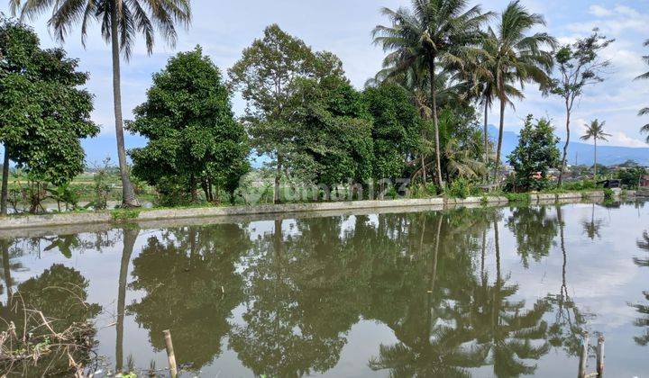 Tanah Dan Kolam Ikan di Jl. Tarogong Garut, Garut SHM 4.795 m² 5