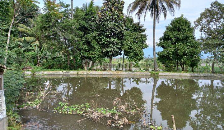 Tanah Dan Kolam Ikan di Jl. Tarogong Garut, Garut SHM 4.795 m² 9