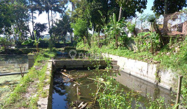 Tanah Dan Kolam Ikan di Jl. Tarogong Garut, Garut SHM 4.795 m² 16