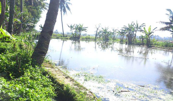 Tanah di Jl. Tarogong Kaler, Garut SHM 4.795 m² 15