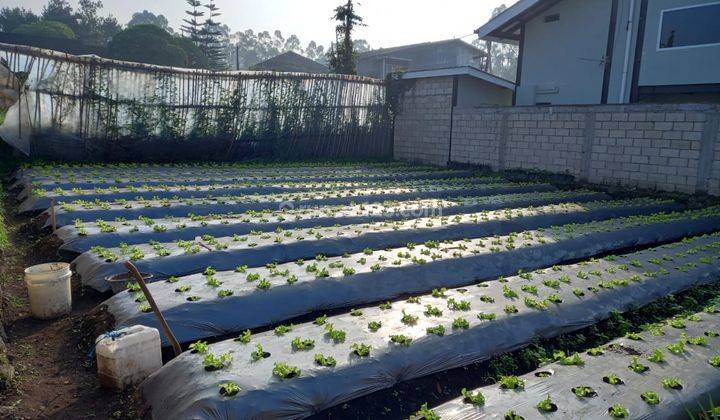 Tanah di Manoko Dekat Alun-alun Lembang, Bandung SHM 207 m² 1