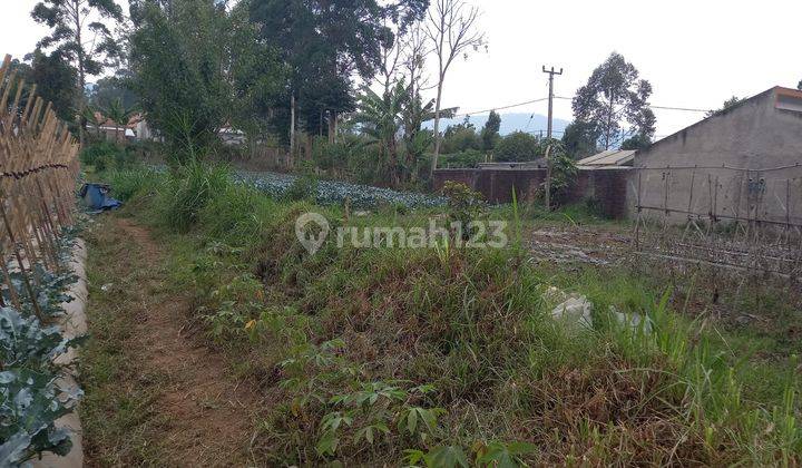 Tanah di Manoko Dekat Alun-alun Lembang, Bandung SHM 3.500 m² 1