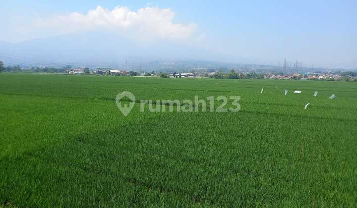 Soreang Land, Bandung, 860 m2, suitable for building several shop house units.